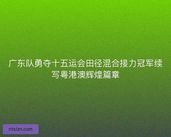 广东队勇夺十五运会田径混合接力冠军续写粤港澳辉煌篇章